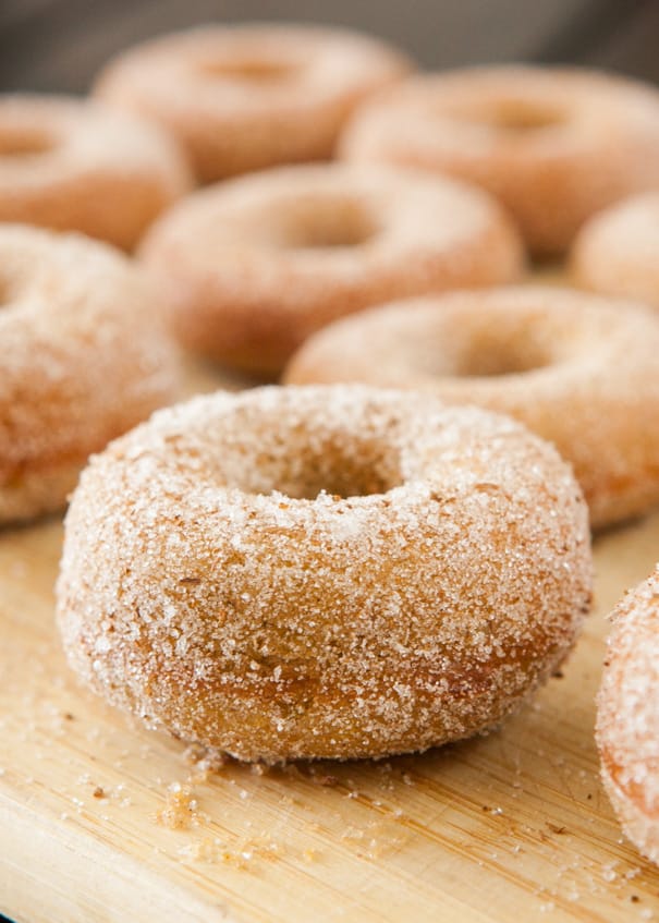 Cinnamon Sugar Donut Baking Kit